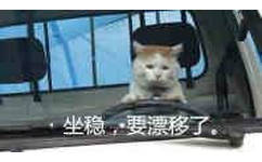 猫猫开车，坐稳，要漂移了！喵星人猫猫开车漂移表情