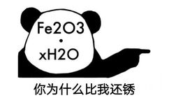 你为什比我还锈，脸上顶着化学式Fe2o3(锈)的熊猫头用手指着别人问为什么比我还锈表情