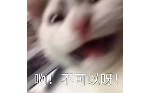 啊!不可以呀!不能这样！猫猫惊慌失措大叫不可以表情