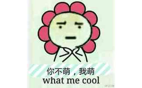 你不萌，我萌 What me cool