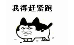 教皇版小萌猫：我得赶紧跑