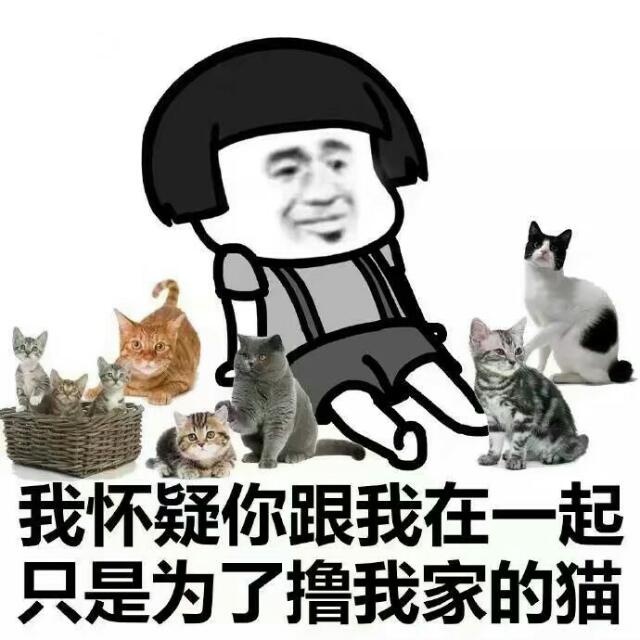 我怀疑你跟我在一起，只是为了撸我家的猫