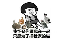 我怀疑你跟我在一起，只是为了撸我家的猫