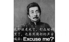 我即使是死了，钉在棺材里了，也要用腐朽的声音喊出：Excuse me ?