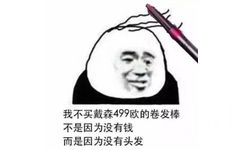 我不买戴森499欧的卷发棒，不是因为没有钱，而是因为没有头发