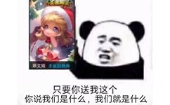 只要你送我这个（蔡文姬圣诞皮肤），你说我们是什么，我们就是什么