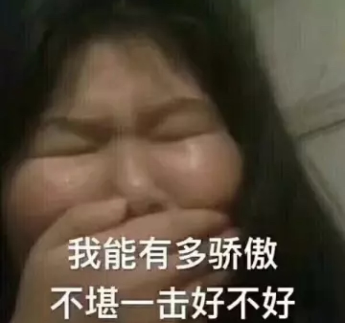 我能有多骄傲不堪一击好不好