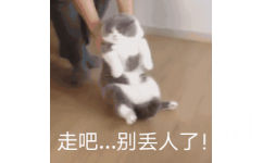 走吧。。。别丢人了！拖着猫咪