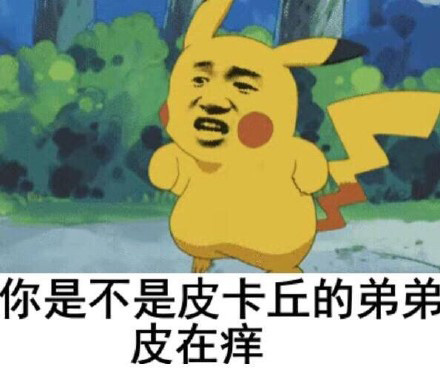 你是不是皮卡丘的弟弟皮在痒