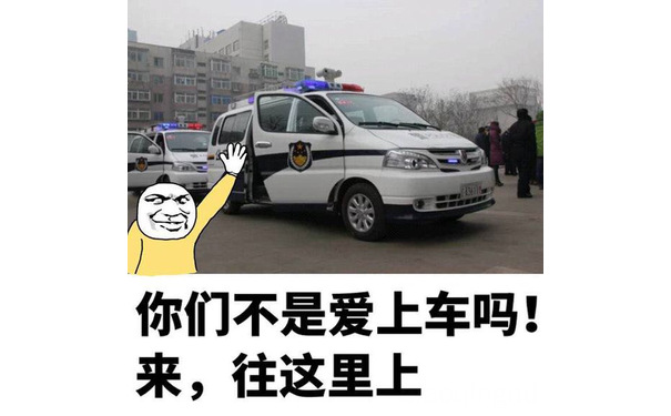 你们不是爱上车吗！来，往这里上