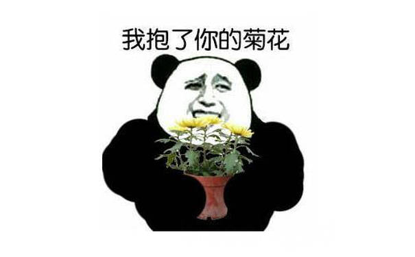 我抱了你的菊花