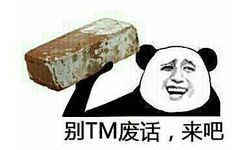 拿砖头：别TM废话 来吧