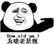 为啥老是我 how old am i 熊猫人