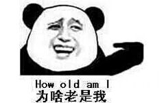 为啥老是我 how old am i 熊猫人