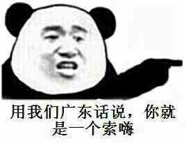 用我们广东话说，你就是一个索嗨