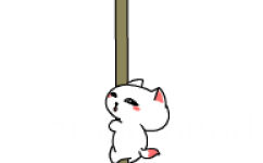 小猫爬柱子