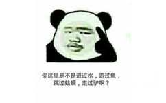 指着脑子：你这里是不是进过水，游过鱼，跳过蛤蟆，走过驴啊？