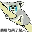 抱树：委屈的哭了起来