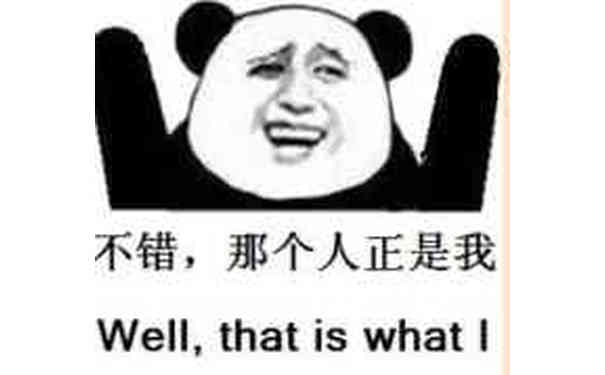 不错，那个人正是我 Will what is what I