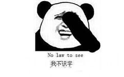 我不识字 No law to see