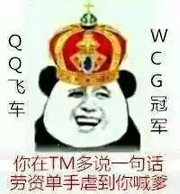 QQ飞车WCG冠军：你TM在多说一句话我单手虐你喊爹