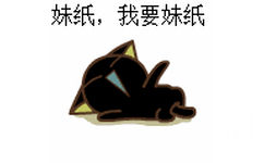 猫打滚：妹纸，我要妹纸