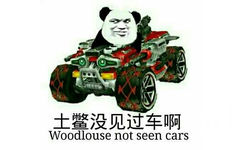 土鳖没见过车啊 Woodlouse not seen cars