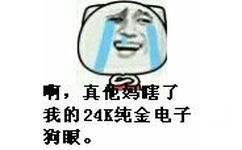 真TM的瞎了我的24K纯金电子狗眼