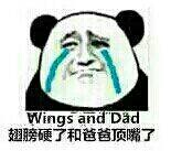 翅膀硬了和爸爸顶嘴了 Wings adn Dad