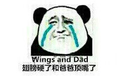 翅膀硬了和爸爸顶嘴了 Wings adn Dad