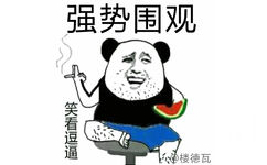 吃着西瓜抽着烟强势围观：笑看逗逼