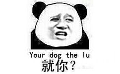 就你？　Your dog the lu