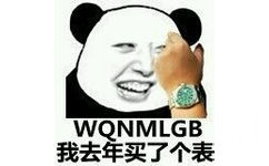 我去年买了个表 WQNMLGB