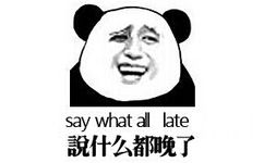 说什么都晚了 say what all late