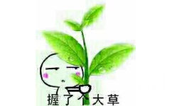 握了个大草