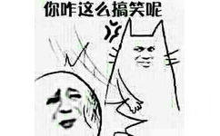 你咋这么搞笑呢？