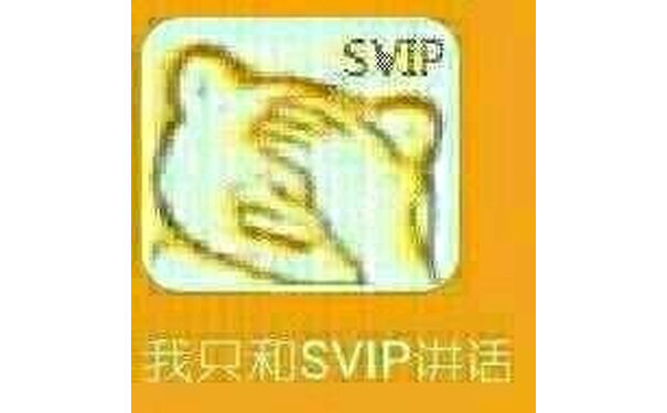 SVIP（我只和SVIP说话）