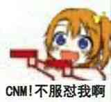 CNM！不服怼我啊！