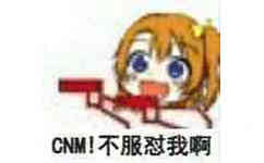 CNM！不服怼我啊！