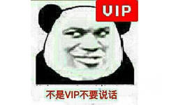 不是VIP不要说话