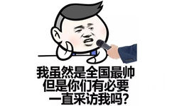 我虽然是全国最帅的，但是你们有必要一直采访我吗？