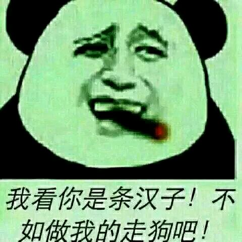 我看你是条汉子！不如做我的走狗吧！