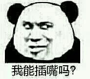 我能插嘴吗？