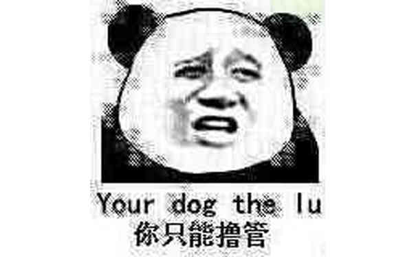 你只能撸管（your dog the lu）