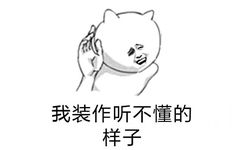 我装作听不懂的样子