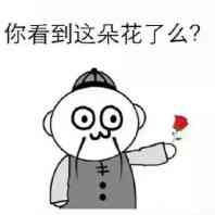 你看到这朵花了么？