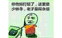 你他妈打错了，这里是少林寺，老子是释永信