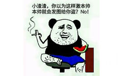 小渣渣，你以为这样激本帅，本帅就会发图给你盗？NO！