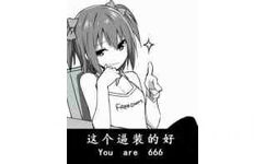 这个逼装的好（you are 666）