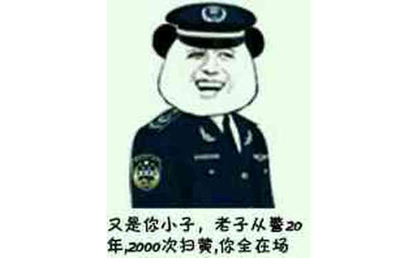 又是你小子，老子从警20年，2000次扫黄，你全在场